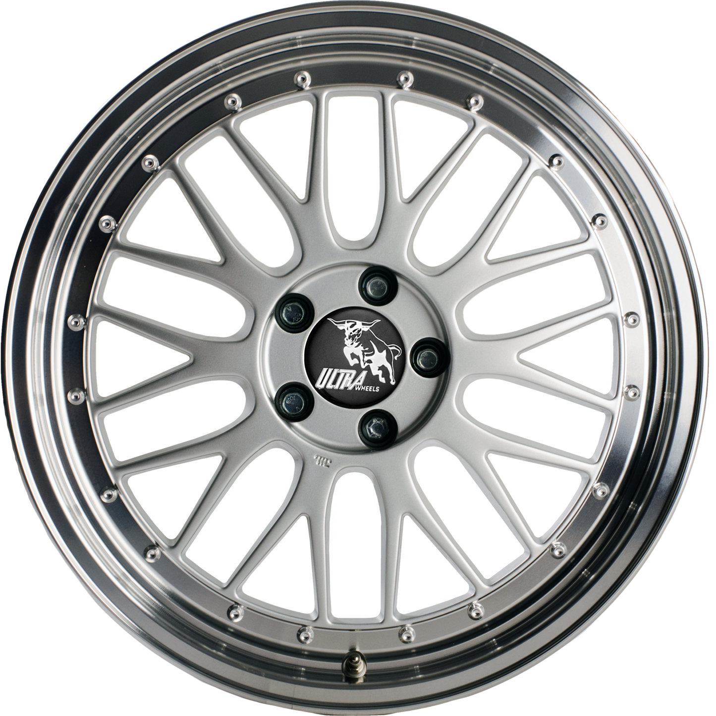 Silver alloy wheel with a multi-spoke design